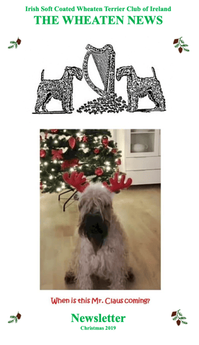 Christmas 2019