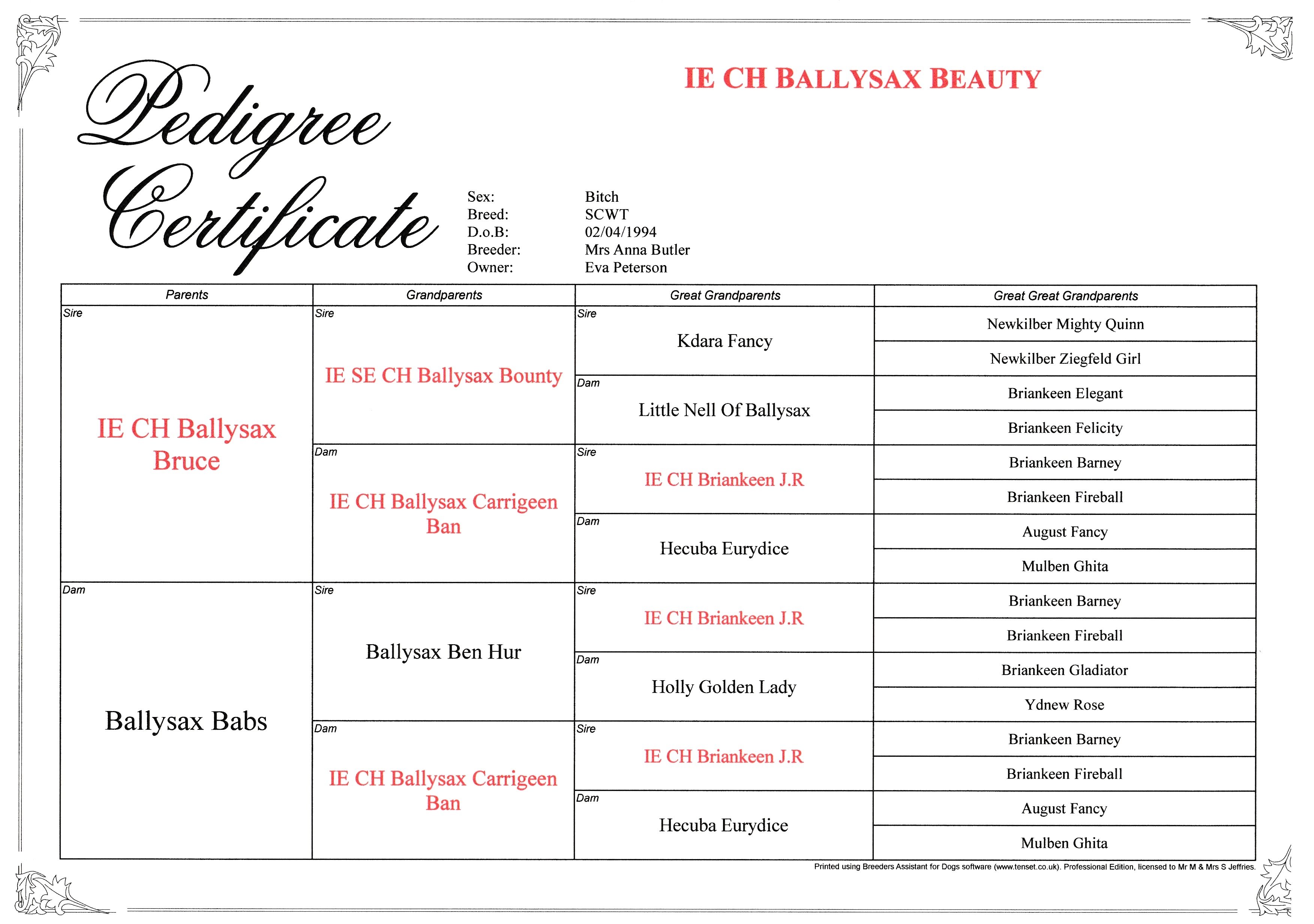 BallysaxBeauty