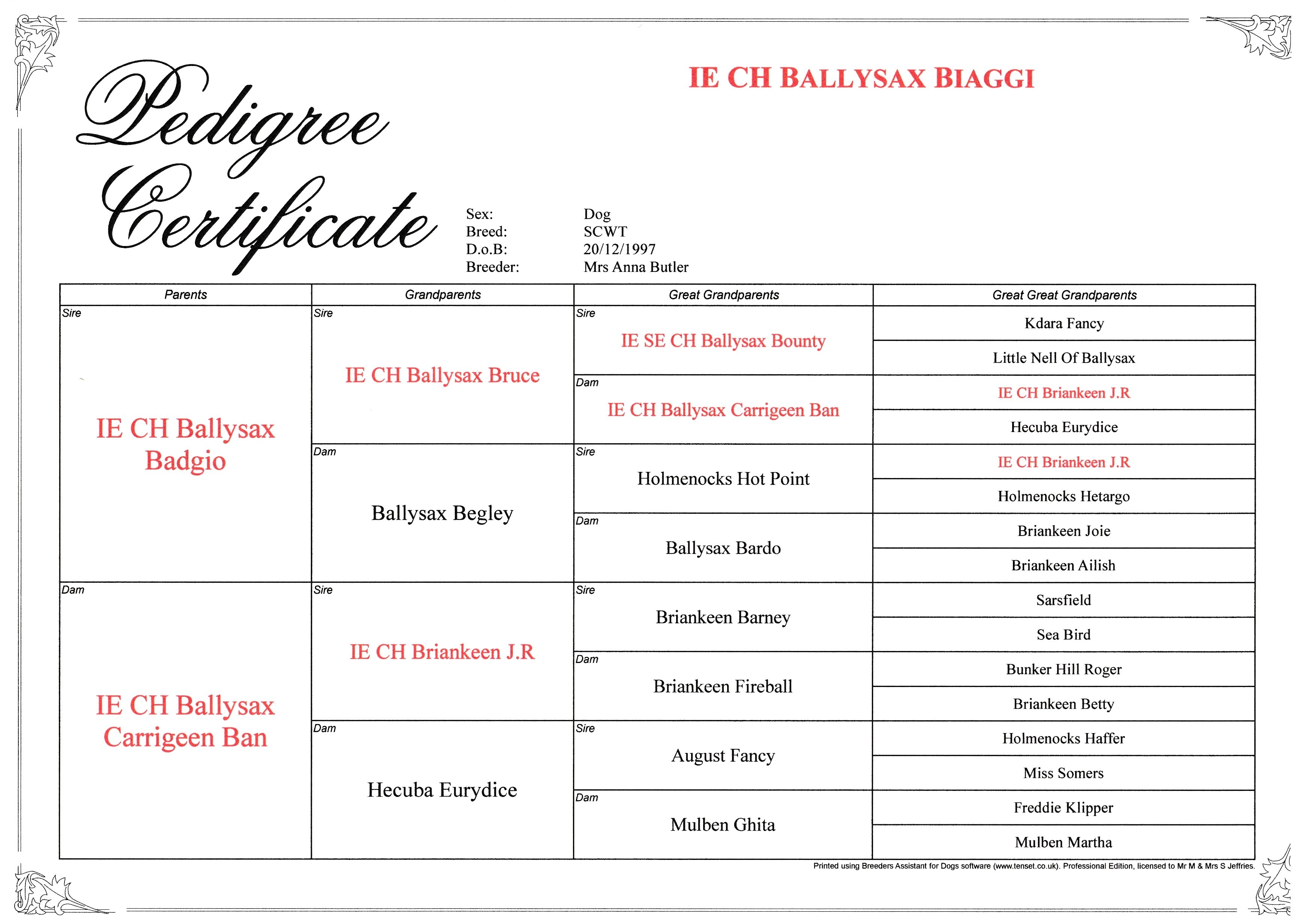 BallysaxBiaggi