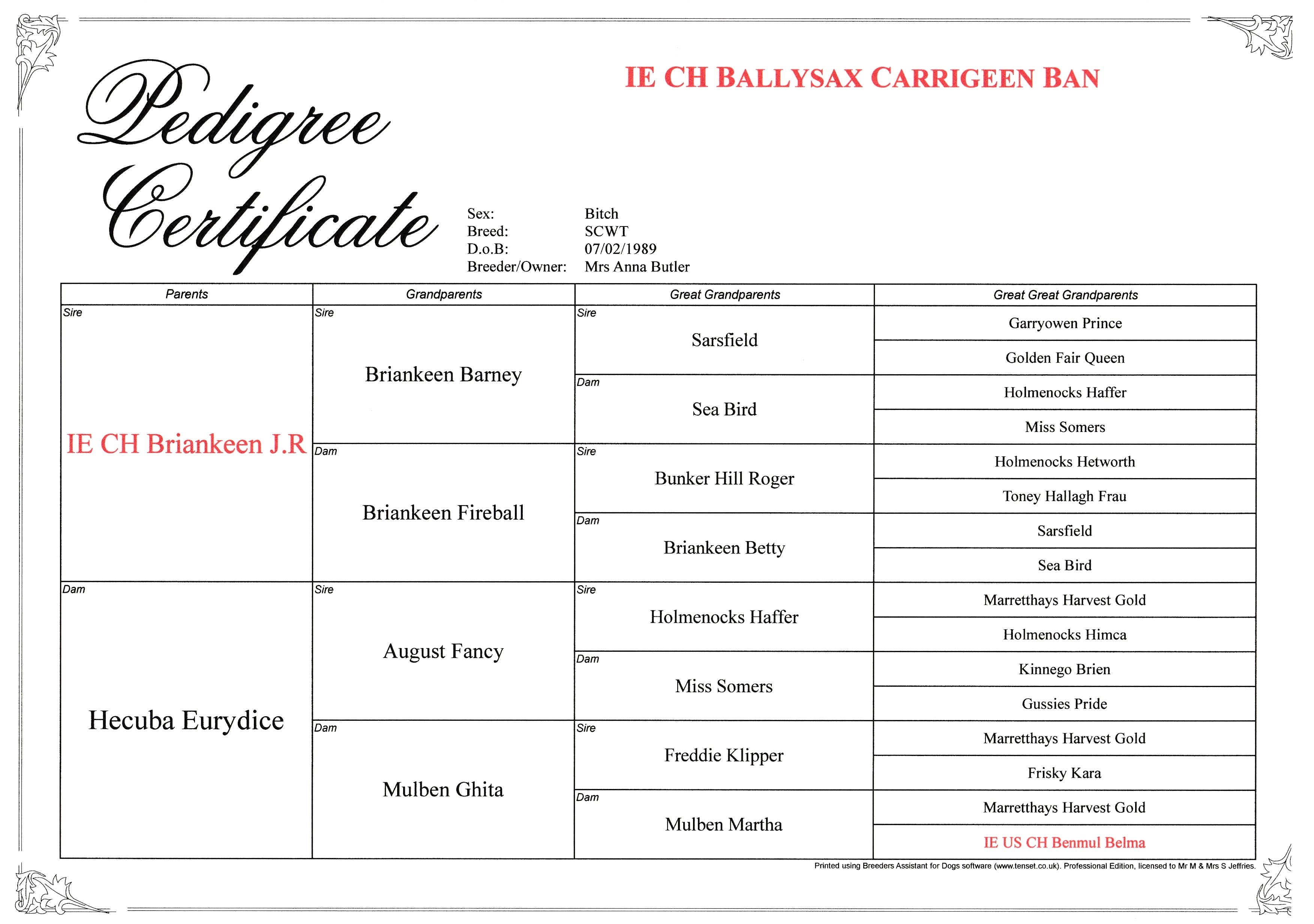 BallysaxCarrigeenBan