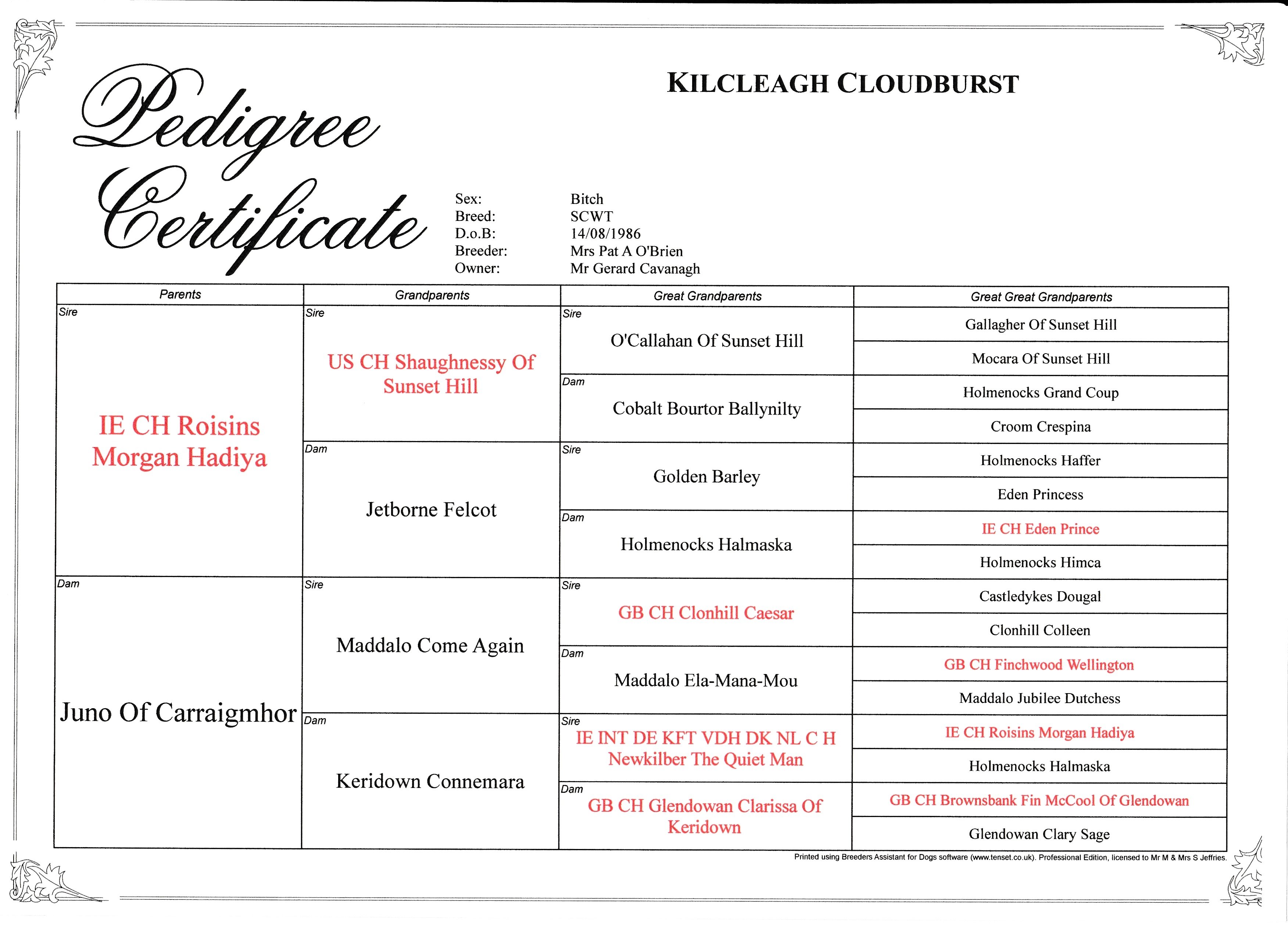 KilcleaghCloudburst