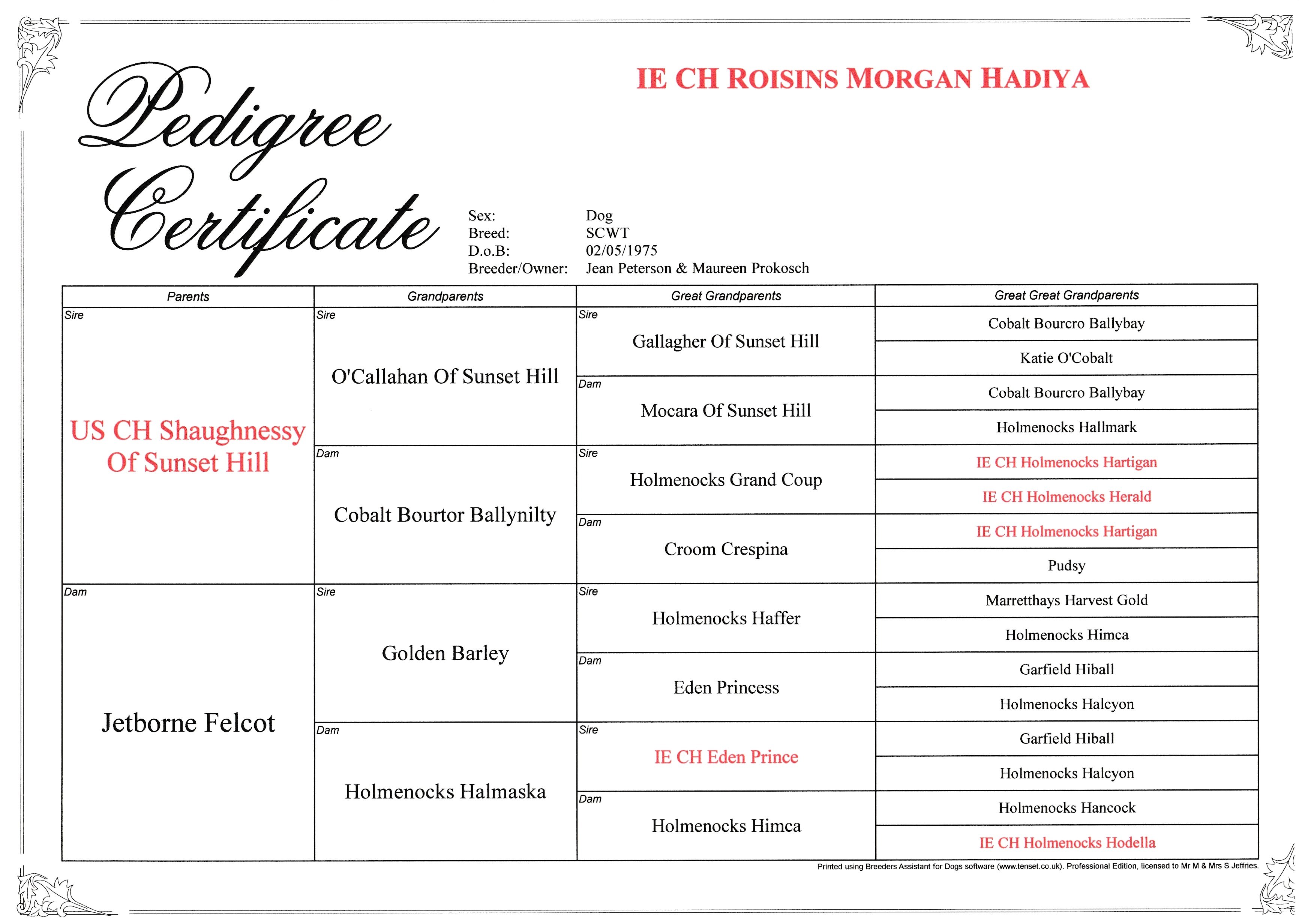 RoisinsMorganHadiya