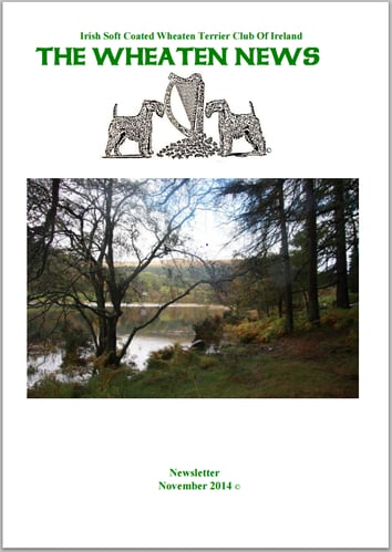 2014 newsletter