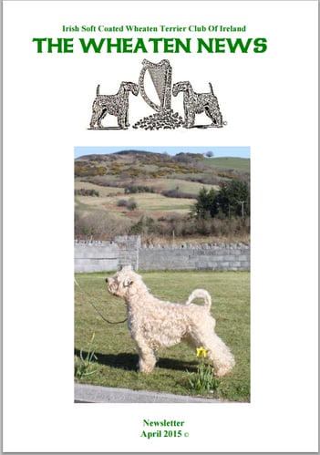 Newsletter 2015