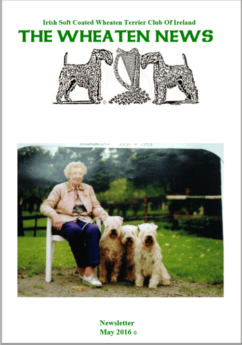 Newsletter cover 2016