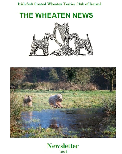Newsletter2018
