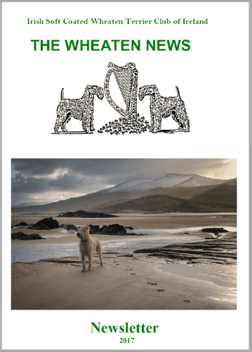 Newsletter 2017