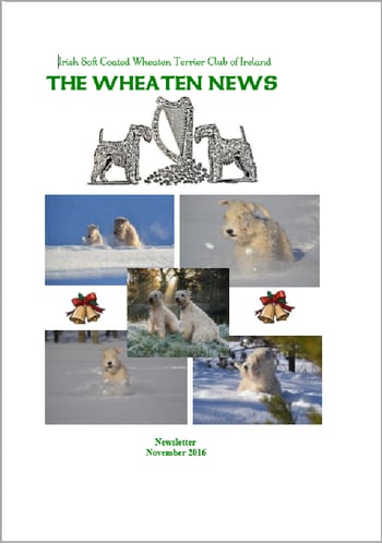 newsletter2016