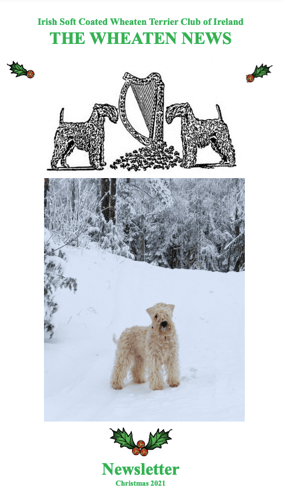 newsletter